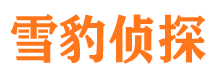 西湖市侦探公司